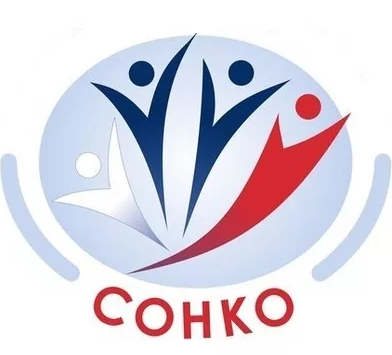 Реестр социально ориентированных некоммерческих организаций